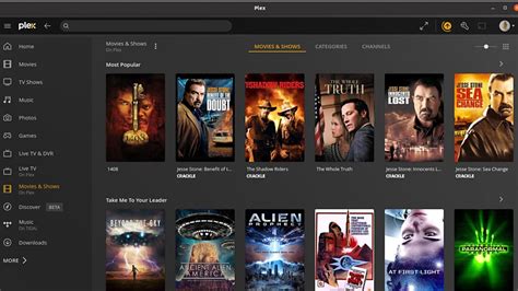 9 xmovies.city|9movies .